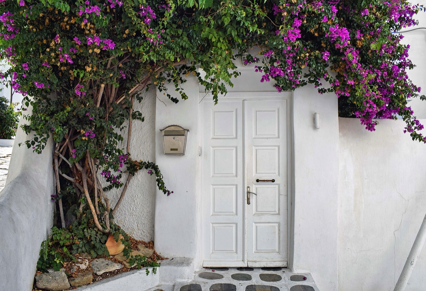 Magenta bougainvillea against a white Mykonos wall