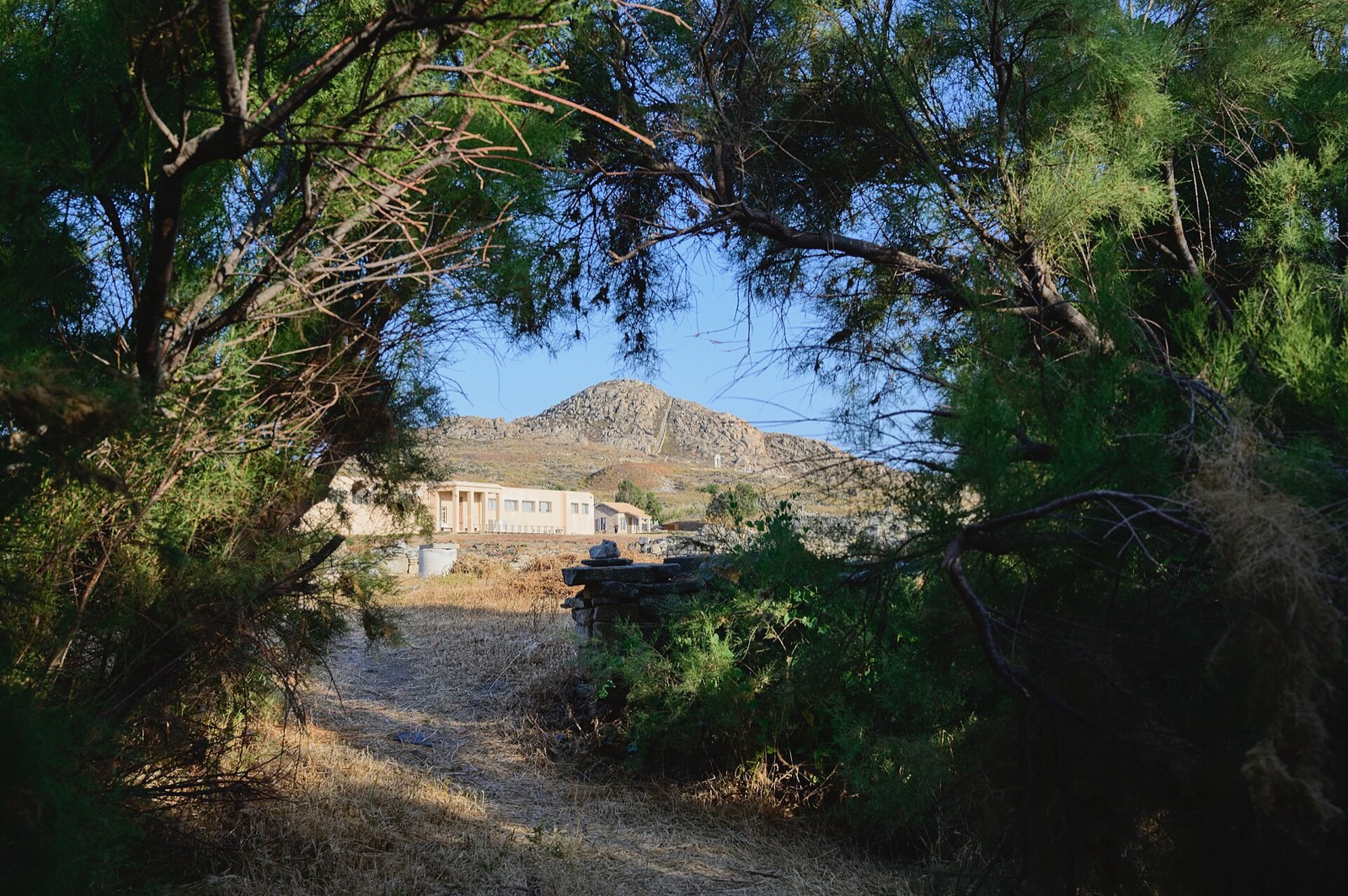 The Sacred Lake of Delos with the museum beyond